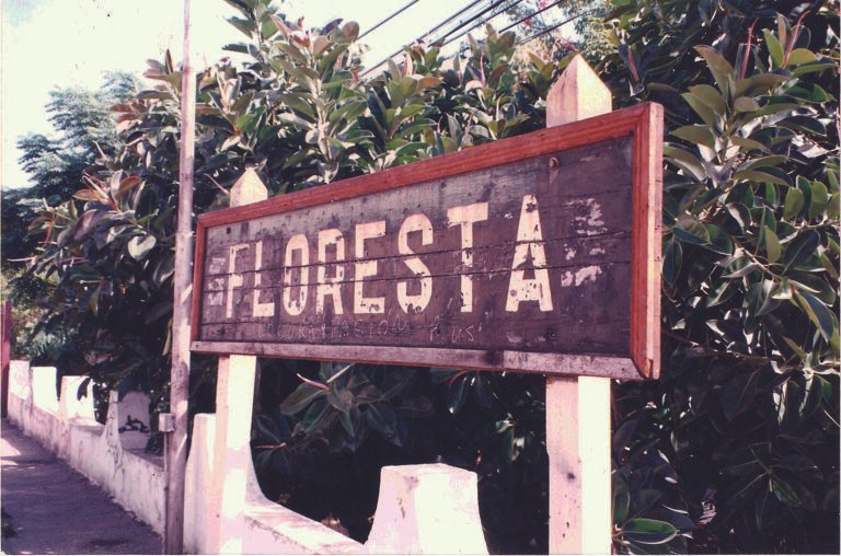 floresta-cartel