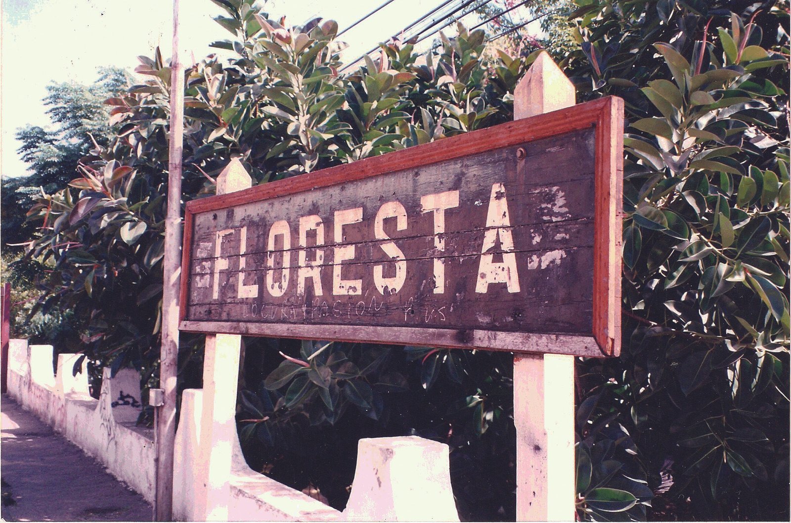 floresta-cartel