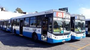 linea 8